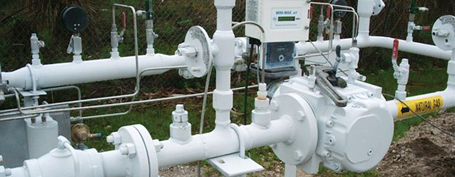 Natural Gas - Operaciones y Distribución de Gas Natural