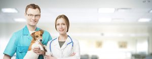 Veterinary Assisting Course 300x117 - Veterinary Assisting Course
